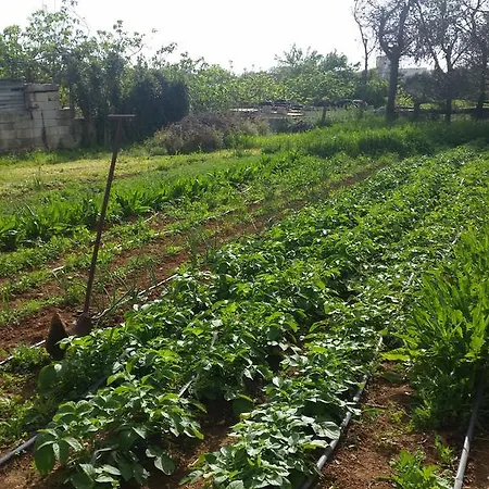 Apartmán Masseria Pesco Otranto