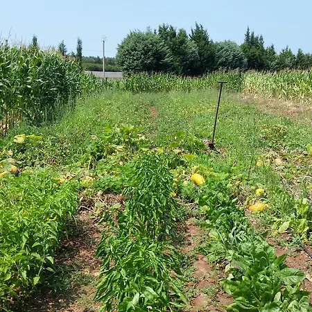 דירה Masseria Pesco אוטרנטו