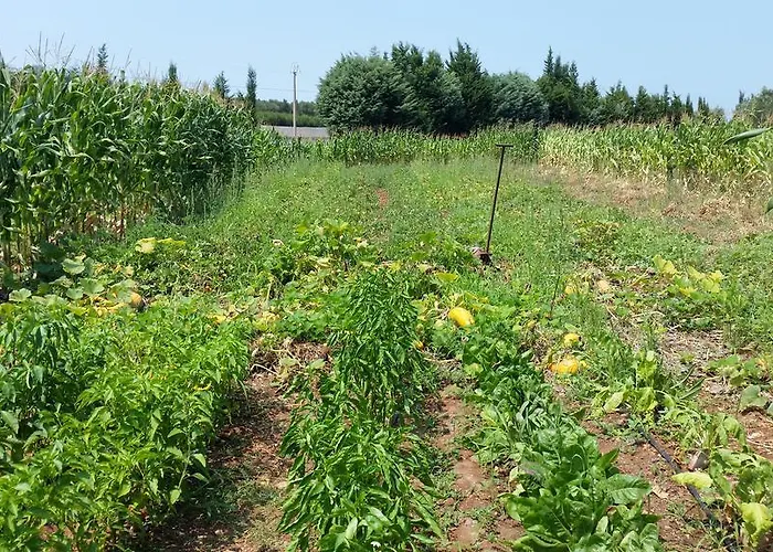 Apartment Masseria Pesco Otranto